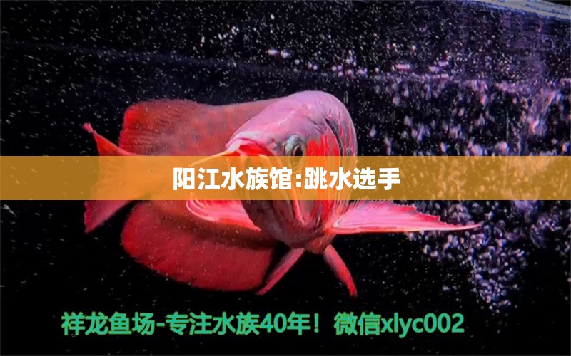 陽(yáng)江水族館:跳水選手 龍魚芯片掃碼器