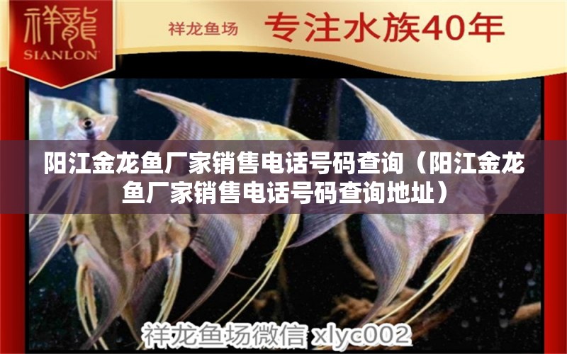 陽(yáng)江金龍魚廠家銷售電話號(hào)碼查詢（陽(yáng)江金龍魚廠家銷售電話號(hào)碼查詢地址） 白條過背金龍魚