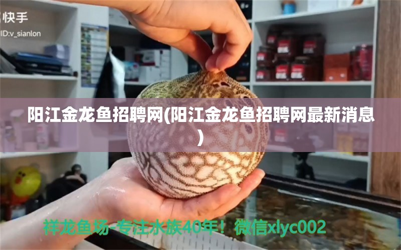 陽江金龍魚招聘網(wǎng)(陽江金龍魚招聘網(wǎng)最新消息)