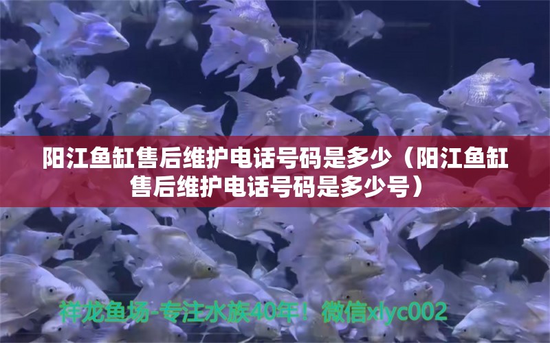 陽(yáng)江魚缸售后維護(hù)電話號(hào)碼是多少（陽(yáng)江魚缸售后維護(hù)電話號(hào)碼是多少號(hào)）