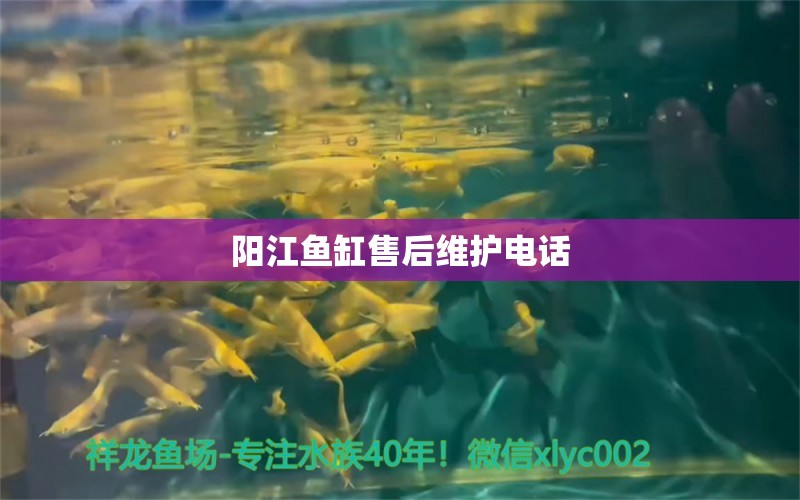 陽江魚缸售后維護(hù)電話 其他品牌魚缸