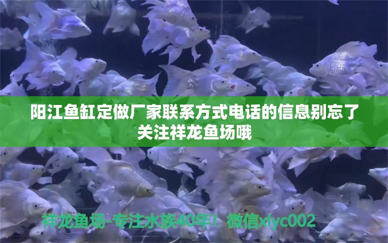 陽(yáng)江魚缸定做廠家聯(lián)系方式電話的信息別忘了關(guān)注祥龍魚場(chǎng)哦 祥龍魚場(chǎng)