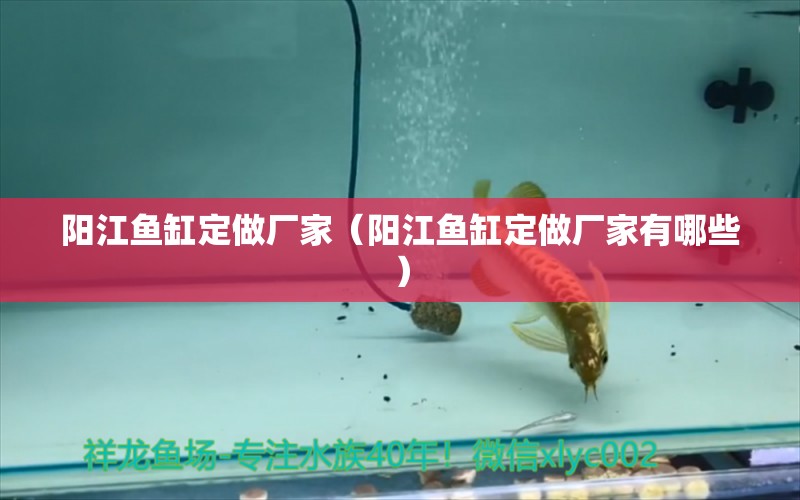 陽江魚缸定做廠家（陽江魚缸定做廠家有哪些） 鴨嘴鯊魚