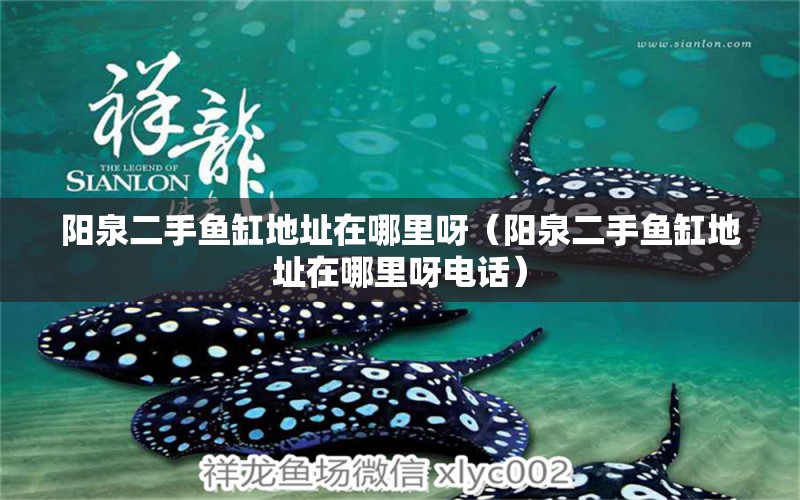 陽(yáng)泉二手魚缸地址在哪里呀（陽(yáng)泉二手魚缸地址在哪里呀電話）