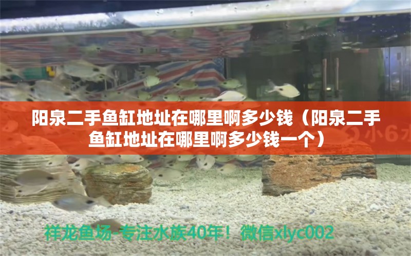 陽泉二手魚缸地址在哪里啊多少錢（陽泉二手魚缸地址在哪里啊多少錢一個） 祥龍水族醫(yī)院