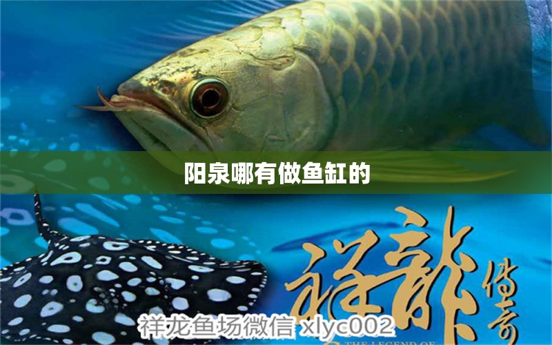 陽泉哪有做魚缸的