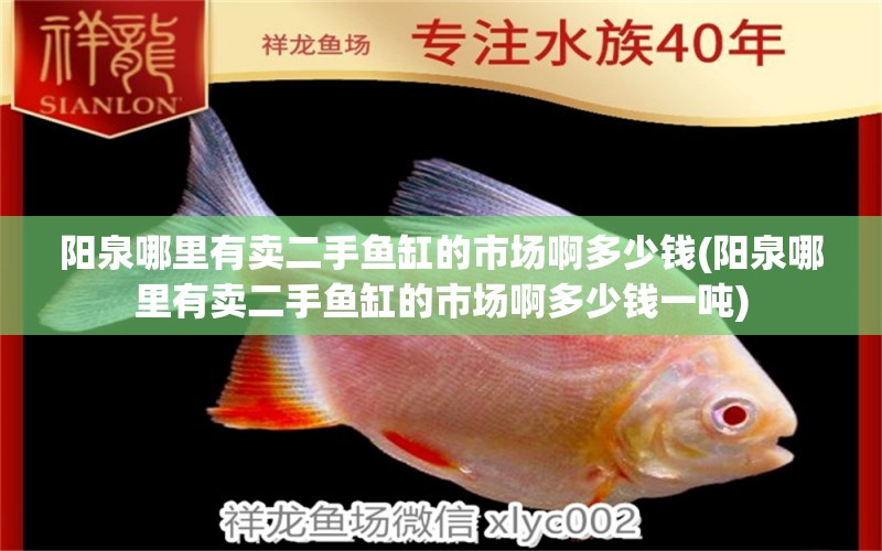 陽泉哪里有賣二手魚缸的市場啊多少錢(陽泉哪里有賣二手魚缸的市場啊多少錢一噸) 蘇虎苗（蘇門答臘虎魚苗） 第1張