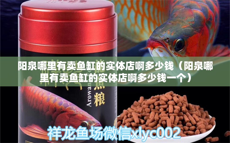 陽泉哪里有賣魚缸的實體店啊多少錢（陽泉哪里有賣魚缸的實體店啊多少錢一個）