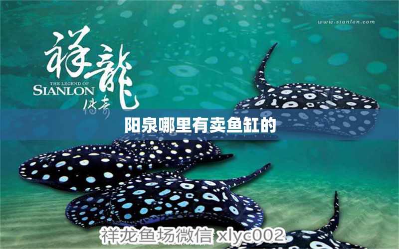 陽泉哪里有賣魚缸的 養(yǎng)魚知識