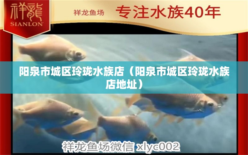 陽泉市城區(qū)玲瓏水族店（陽泉市城區(qū)玲瓏水族店地址）