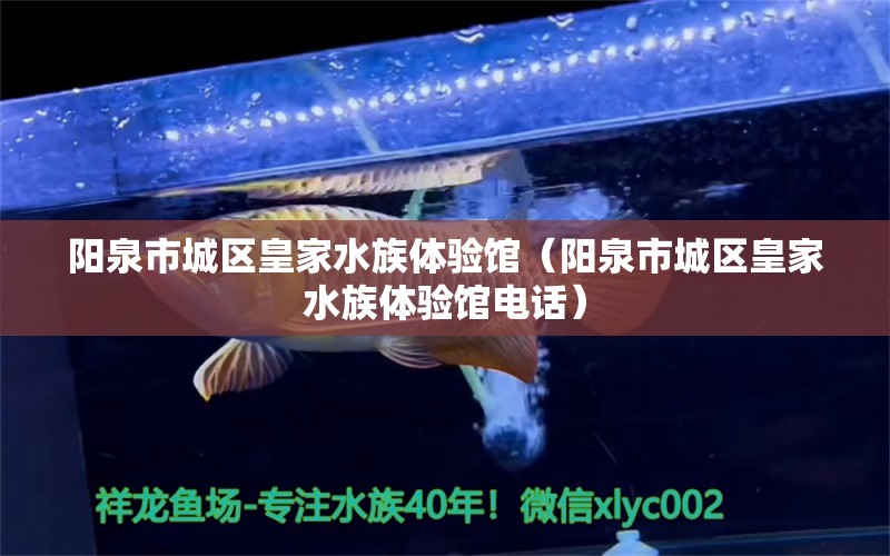 陽泉市城區(qū)皇家水族體驗館（陽泉市城區(qū)皇家水族體驗館電話） 全國水族館企業(yè)名錄