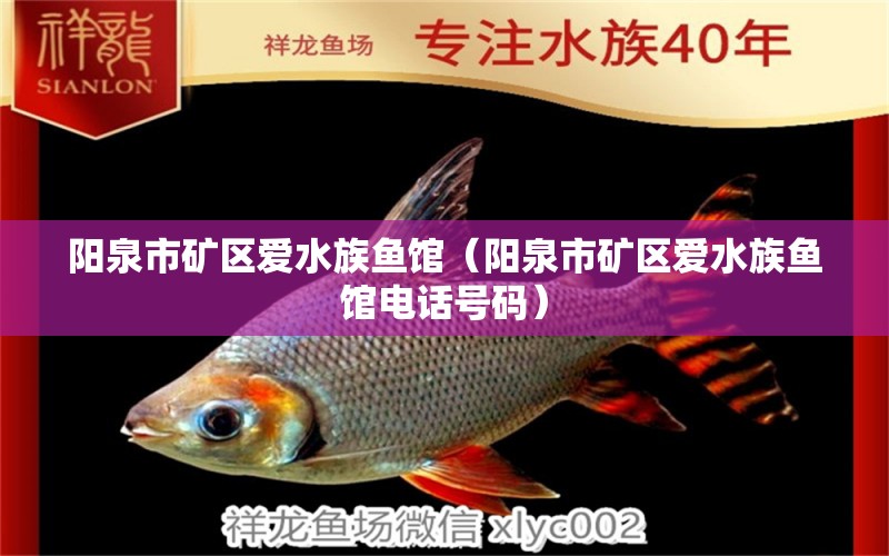 陽泉市礦區(qū)愛水族魚館（陽泉市礦區(qū)愛水族魚館電話號(hào)碼） 全國(guó)水族館企業(yè)名錄 第2張