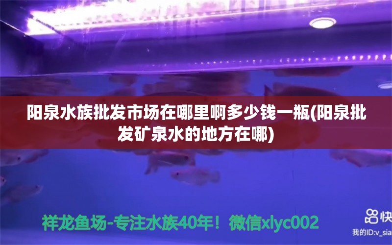 陽泉水族批發(fā)市場在哪里啊多少錢一瓶(陽泉批發(fā)礦泉水的地方在哪) 觀賞魚水族批發(fā)市場