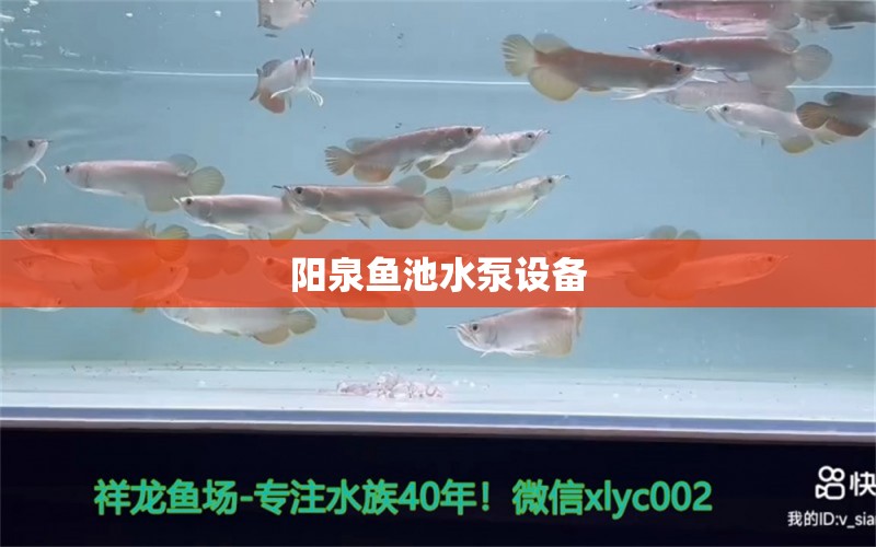 陽泉魚池水泵設備 廣州水族器材濾材批發(fā)市場 第1張