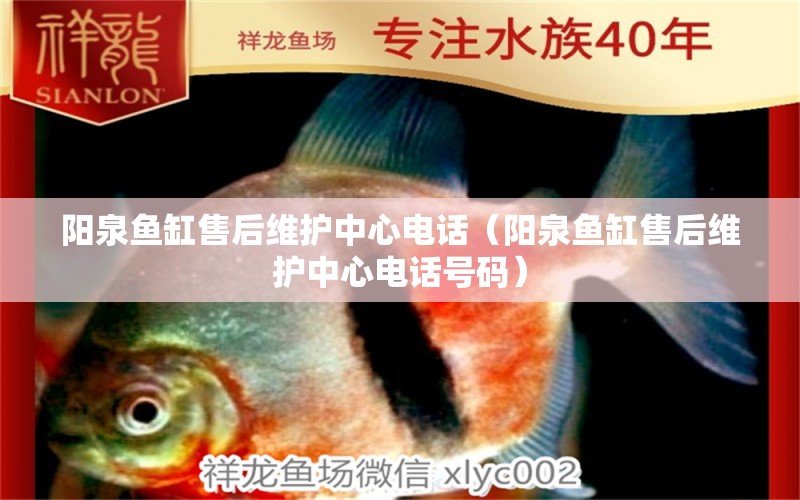 陽泉魚缸售后維護中心電話（陽泉魚缸售后維護中心電話號碼）