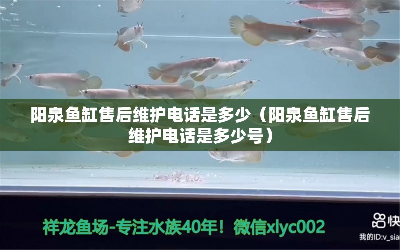 陽(yáng)泉魚缸售后維護(hù)電話是多少（陽(yáng)泉魚缸售后維護(hù)電話是多少號(hào)）