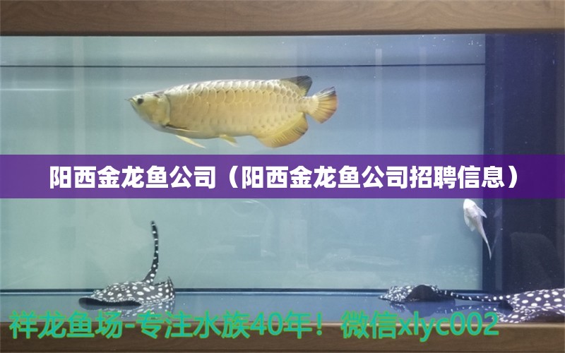 陽西金龍魚公司（陽西金龍魚公司招聘信息）