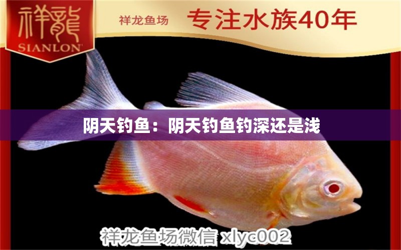 陰天釣魚：陰天釣魚釣深還是淺 垂釣樂園