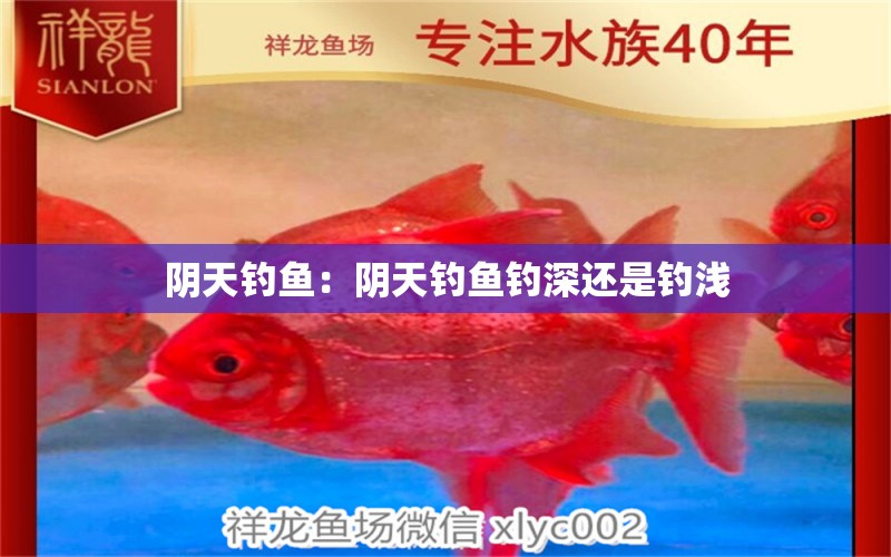 陰天釣魚：陰天釣魚釣深還是釣淺