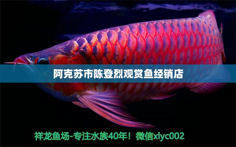 阿克蘇市陳登烈觀賞魚經(jīng)銷店 全國水族館企業(yè)名錄