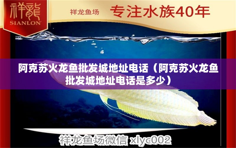 阿克蘇火龍魚批發(fā)城地址電話（阿克蘇火龍魚批發(fā)城地址電話是多少） 龍魚批發(fā)