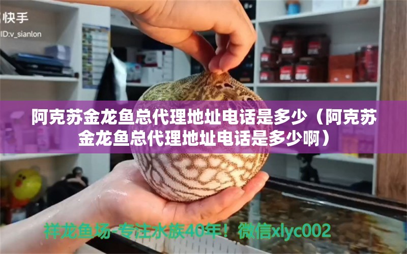 阿克蘇金龍魚(yú)總代理地址電話是多少（阿克蘇金龍魚(yú)總代理地址電話是多少?。? title=