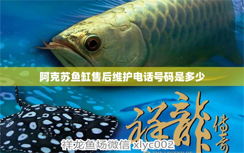 阿克蘇魚缸售后維護(hù)電話號(hào)碼是多少 其他品牌魚缸