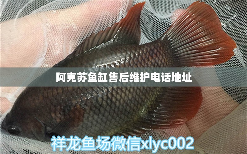 阿克蘇魚缸售后維護(hù)電話地址 其他品牌魚缸