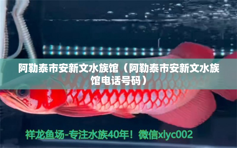 阿勒泰市安新文水族館（阿勒泰市安新文水族館電話號碼）