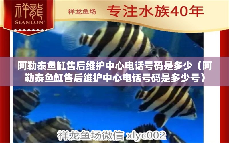 阿勒泰魚缸售后維護(hù)中心電話號(hào)碼是多少（阿勒泰魚缸售后維護(hù)中心電話號(hào)碼是多少號(hào)）