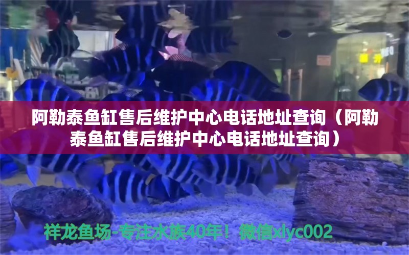 阿勒泰魚缸售后維護(hù)中心電話地址查詢（阿勒泰魚缸售后維護(hù)中心電話地址查詢）