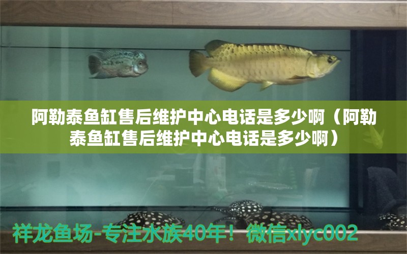 阿勒泰魚缸售后維護(hù)中心電話是多少?。ò⒗仗~缸售后維護(hù)中心電話是多少?。? title=