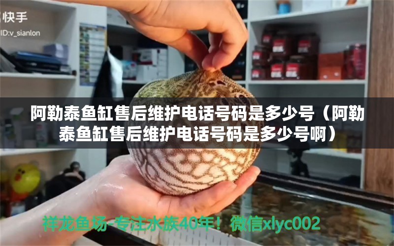 阿勒泰魚缸售后維護(hù)電話號(hào)碼是多少號(hào)（阿勒泰魚缸售后維護(hù)電話號(hào)碼是多少號(hào)?。? title=