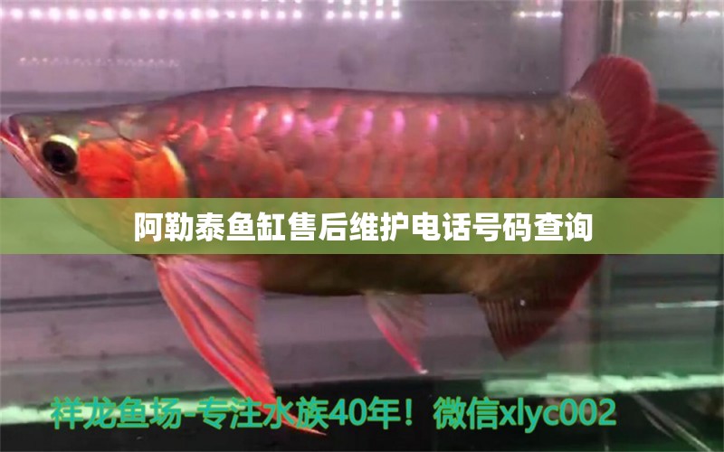 阿勒泰魚(yú)缸售后維護(hù)電話號(hào)碼查詢(xún) 其他品牌魚(yú)缸