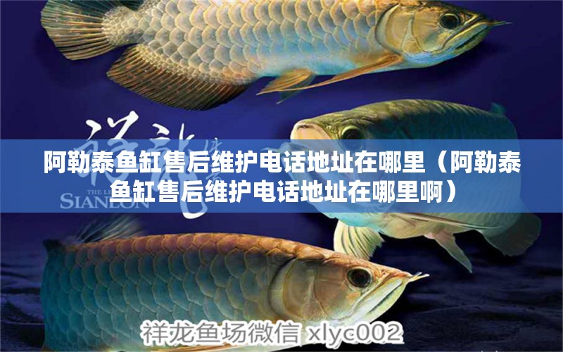 阿勒泰魚(yú)缸售后維護(hù)電話地址在哪里（阿勒泰魚(yú)缸售后維護(hù)電話地址在哪里?。? title=