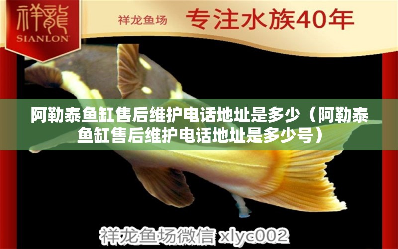 阿勒泰魚(yú)缸售后維護(hù)電話地址是多少（阿勒泰魚(yú)缸售后維護(hù)電話地址是多少號(hào)）