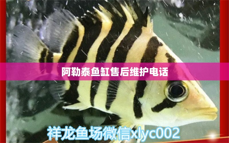 阿勒泰魚缸售后維護(hù)電話 其他品牌魚缸