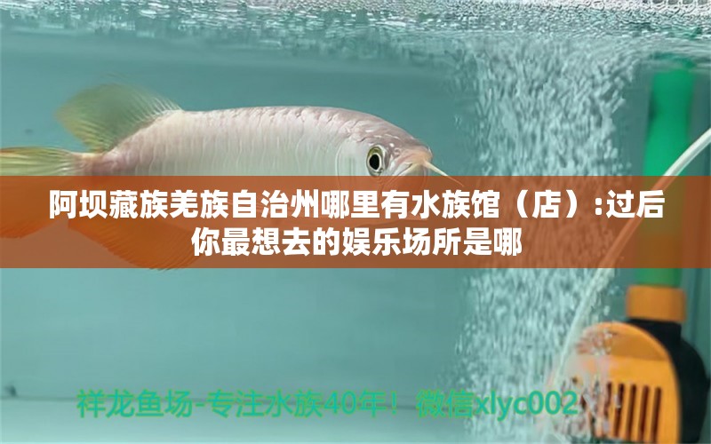 阿壩藏族羌族自治州哪里有水族館（店）:過后你最想去的娛樂場所是哪 觀賞魚水族批發(fā)市場