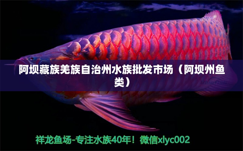 阿壩藏族羌族自治州水族批發(fā)市場（阿壩州魚類）