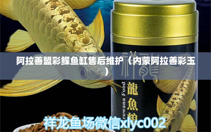 阿拉善盟彩鰈魚(yú)缸售后維護(hù)（內(nèi)蒙阿拉善彩玉）