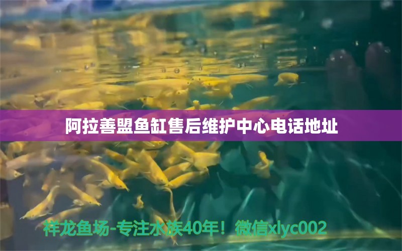 阿拉善盟魚缸售后維護(hù)中心電話地址