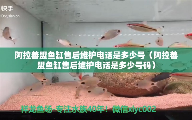 阿拉善盟魚(yú)缸售后維護(hù)電話是多少號(hào)（阿拉善盟魚(yú)缸售后維護(hù)電話是多少號(hào)碼）