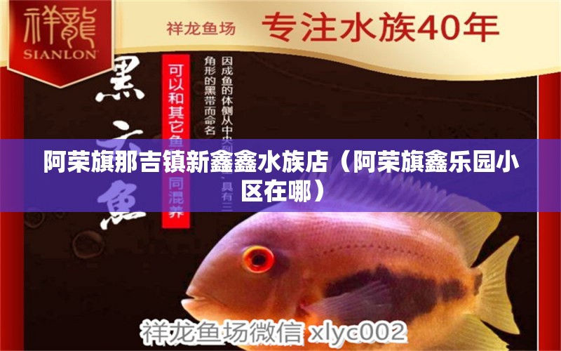 阿榮旗那吉鎮(zhèn)新鑫鑫水族店（阿榮旗鑫樂園小區(qū)在哪） 全國水族館企業(yè)名錄