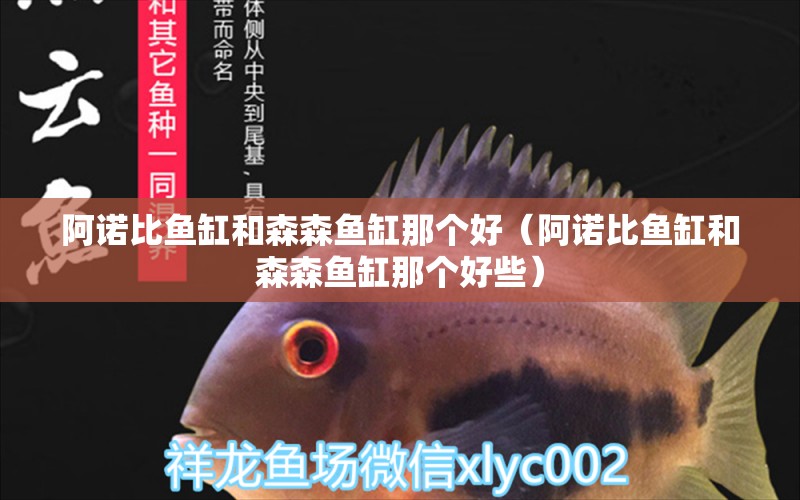 阿諾比魚缸和森森魚缸那個(gè)好（阿諾比魚缸和森森魚缸那個(gè)好些）