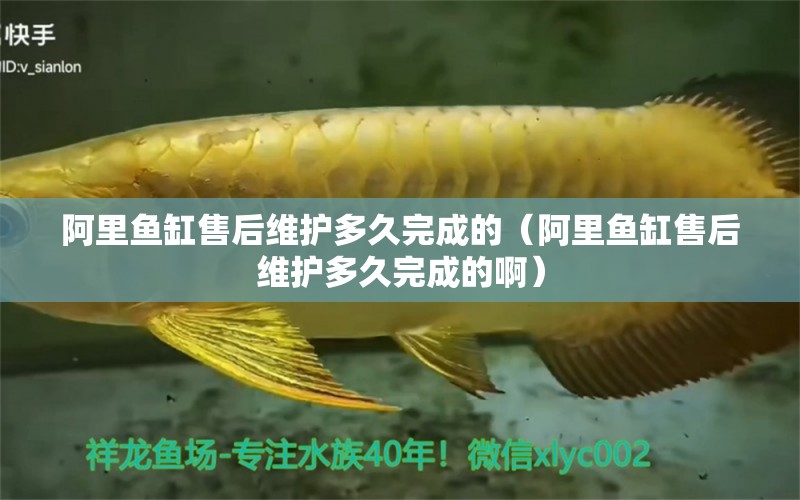 阿里魚缸售后維護(hù)多久完成的（阿里魚缸售后維護(hù)多久完成的?。? title=