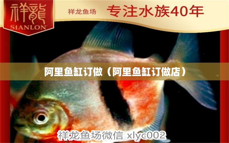 阿里魚缸訂做（阿里魚缸訂做店） 羅漢魚