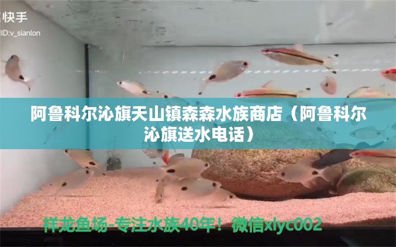 阿魯科爾沁旗天山鎮(zhèn)森森水族商店（阿魯科爾沁旗送水電話）