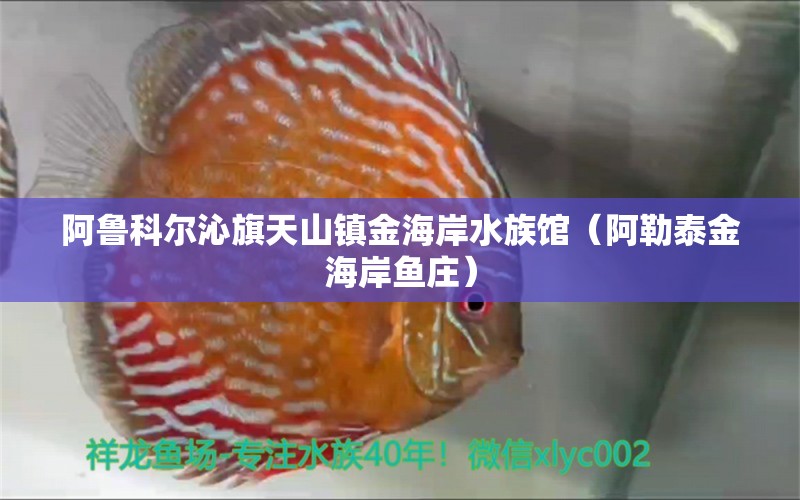 阿魯科爾沁旗天山鎮(zhèn)金海岸水族館（阿勒泰金海岸魚莊）