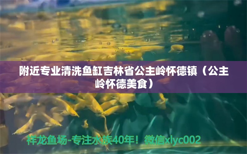 附近專業(yè)清洗魚缸吉林省公主嶺懷德鎮(zhèn)（公主嶺懷德美食）