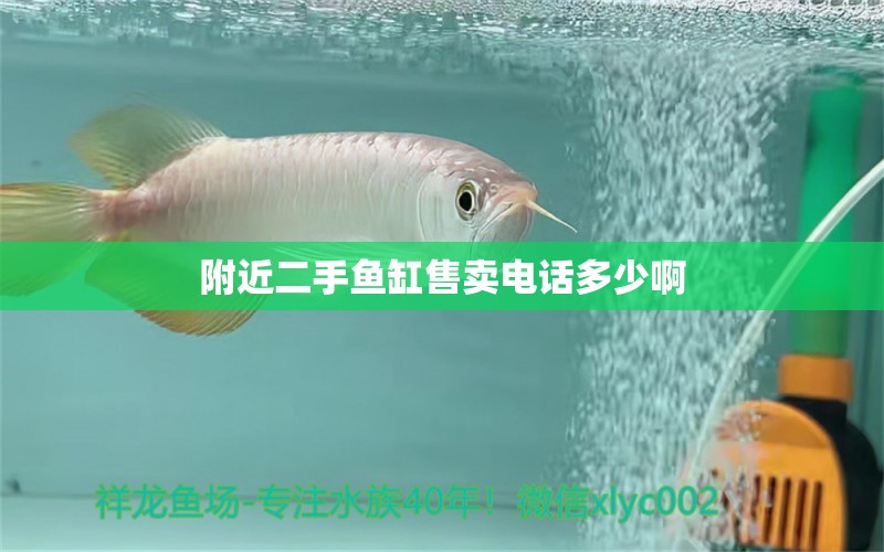 附近二手魚缸售賣電話多少啊